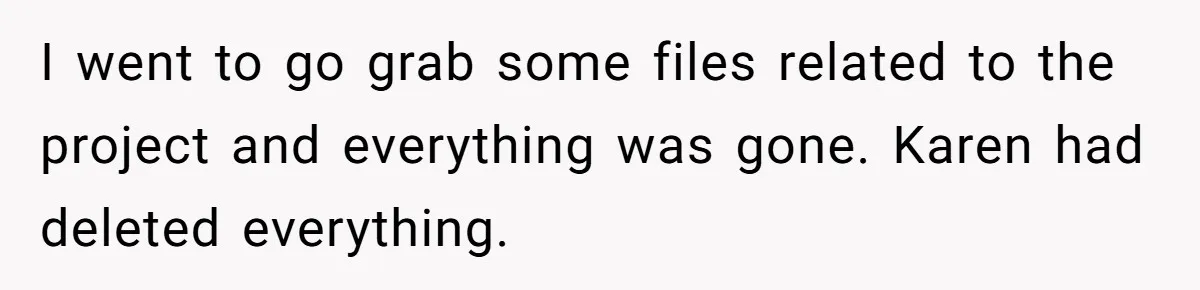 I went to go grab some files related to the project and everything was gone. Karen had deleted everything.