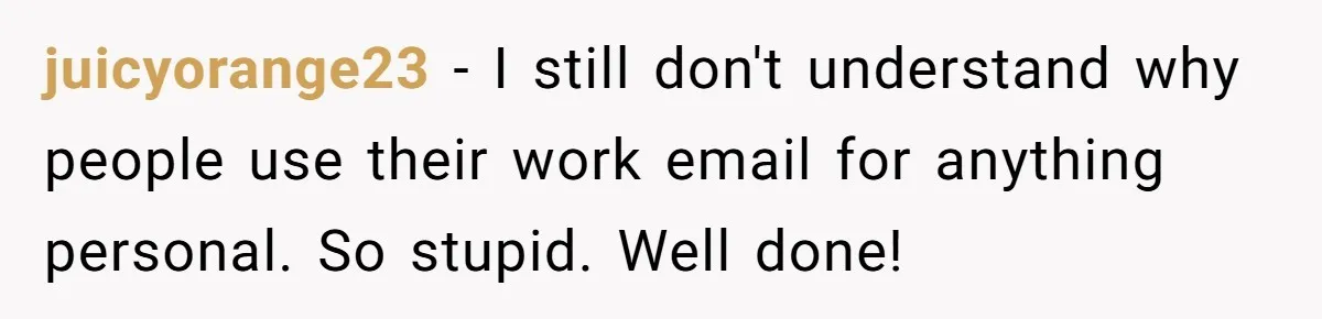 juicyorange23 − I still don't understand why people use their work email for anything personal. So stupid. Well done!