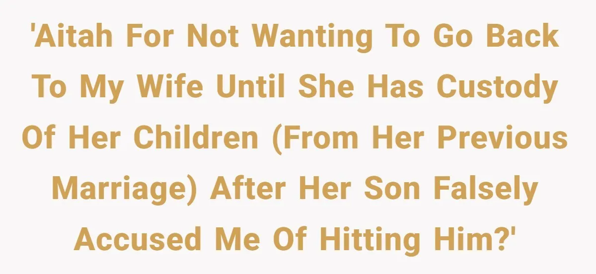 'AITAH for not wanting to go back to my wife until she has custody of her children (from her previous marriage) after her son falsely accused me of hitting him?'