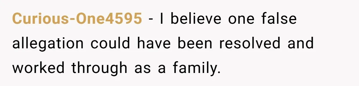 Curious-One4595 − I believe one false allegation could have been resolved and worked through as a family.