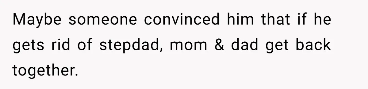 Maybe someone convinced him that if he gets rid of stepdad, mom & dad get back together.