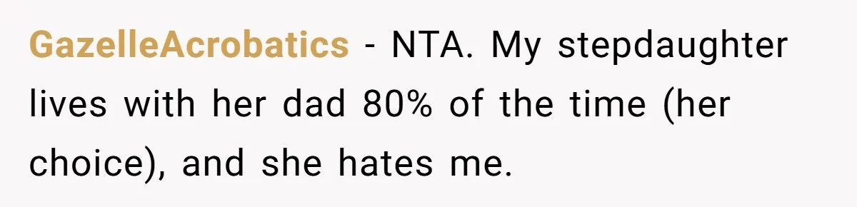 GazelleAcrobatics − NTA. My stepdaughter lives with her dad 80% of the time (her choice), and she hates me.