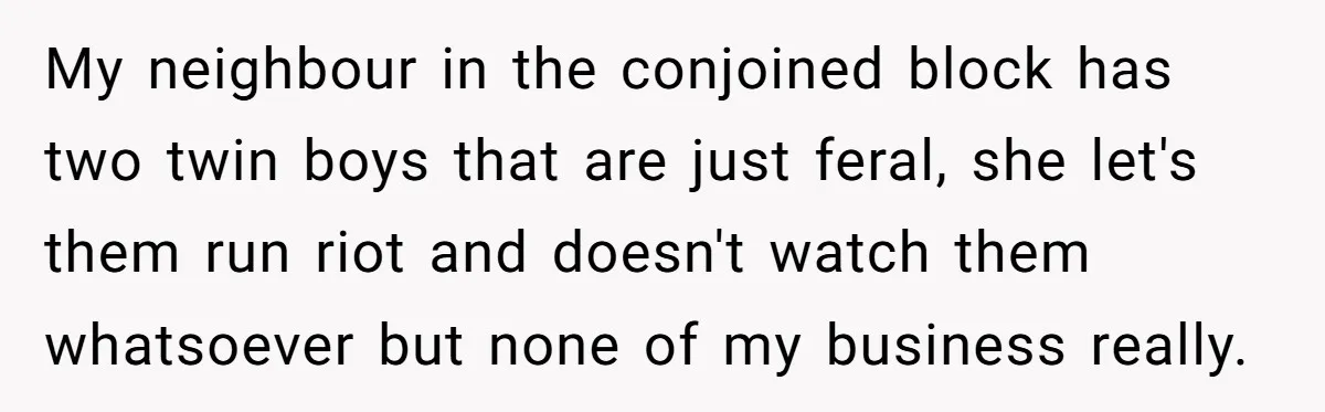 Mom Quietly Fences Off Her Garden To Protect Her Baby, Neighbor Throws Tantrum And Blames Her My neighbour in the conjoined block has two twin boys that are just feral, she let's them run riot and doesn't watch them whatsoever but none of my business really.