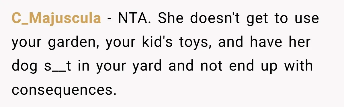 Mom Quietly Fences Off Her Garden To Protect Her Baby, Neighbor Throws Tantrum And Blames Her C_Majuscula − NTA. She doesn't get to use your garden, your kid's toys, and have her dog s__t in your yard and not end up with consequences.