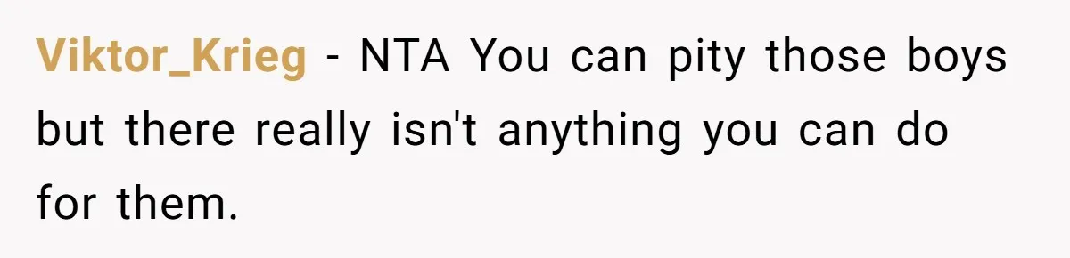 Mom Quietly Fences Off Her Garden To Protect Her Baby, Neighbor Throws Tantrum And Blames Her Viktor_Krieg − NTA You can pity those boys but there really isn't anything you can do for them.