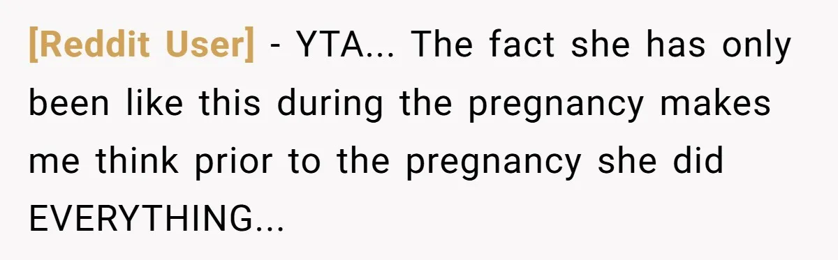 [Reddit User] - YTA... The fact she has only been like this during the pregnancy makes me think prior to the pregnancy she did EVERYTHING...