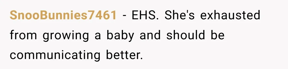 SnooBunnies7461 - EHS. She's exhausted from growing a baby and should be communicating better.