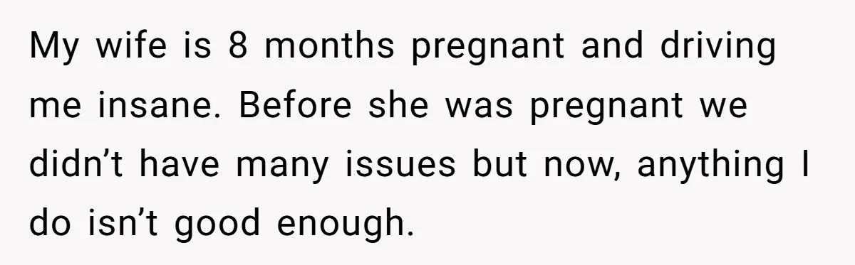 My wife is 8 months pregnant and driving me insane. Before she was pregnant we didn’t have many issues but now, anything I do isn’t good enough.