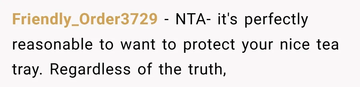 Friendly_Order3729 - NTA- it's perfectly reasonable to want to protect your nice tea tray. Regardless of the truth,