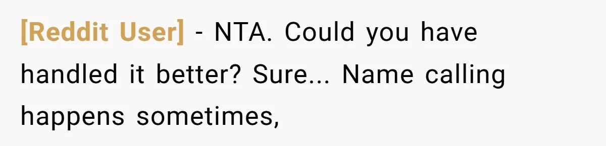 [Reddit User] - NTA. Could you have handled it better? Sure... Name calling happens sometimes,