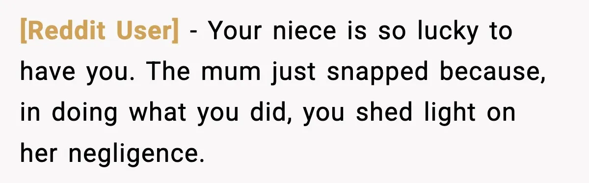 [Reddit User] - Your niece is so lucky to have you. The mum just snapped because, in doing what you did, you shed light on her negligence.