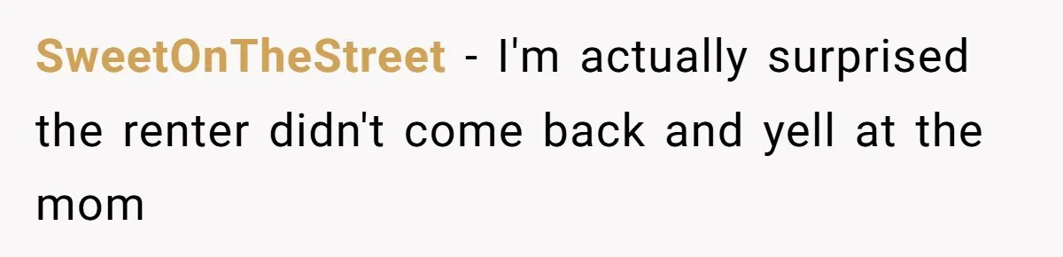 SweetOnTheStreet - I'm actually surprised the renter didn't come back and yell at the mom