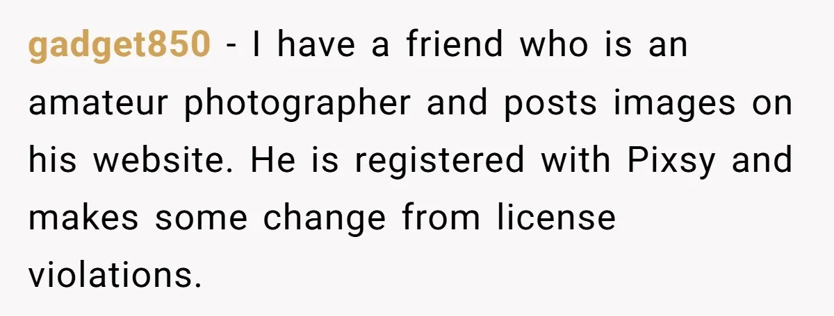 gadget850 - I have a friend who is an amateur photographer and posts images on his website. He is registered with Pixsy and makes some change from license violations.