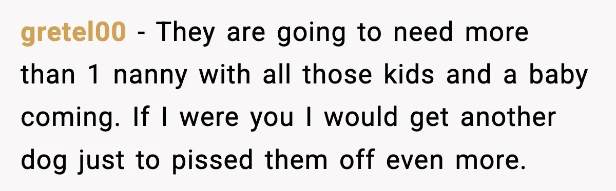 Woman Refuses To Fund Sister’s Nanny And Gets Called “Jealous” gretel00 - They are going to need more than 1 nanny with all those kids and a baby coming. If I were you I would get another dog just to...