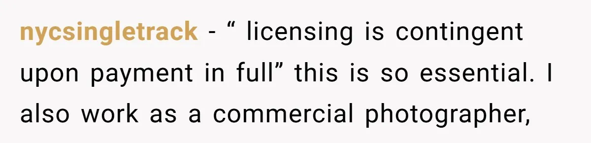 nycsingletrack - “ licensing is contingent upon payment in full” this is so essential. I also work as a commercial photographer,