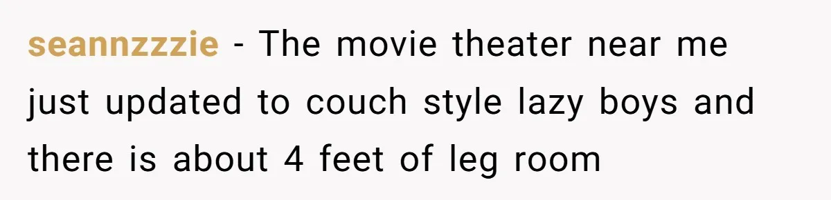 seannzzzie - The movie theater near me just updated to couch style lazy boys and there is about 4 feet of leg room