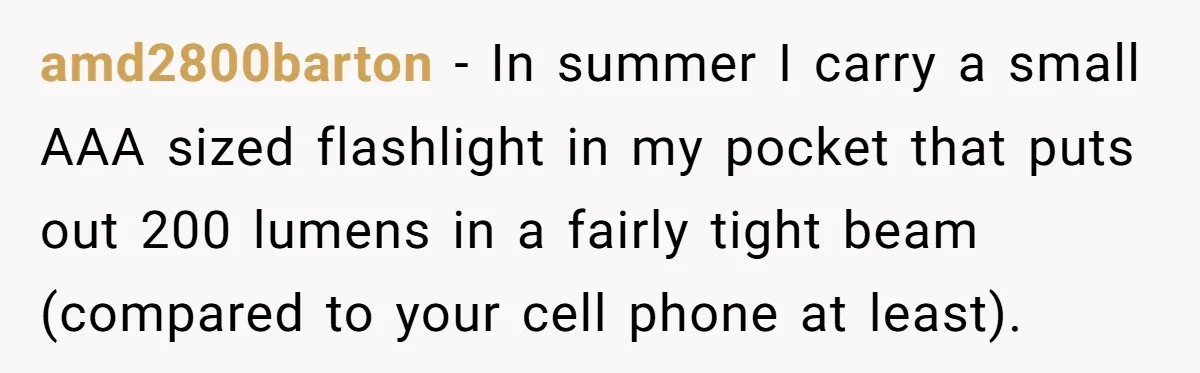 amd2800barton - In summer I carry a small AAA sized flashlight in my pocket that puts out 200 lumens in a fairly tight beam (compared to your cell phone at...