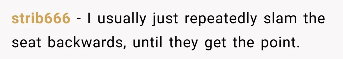 strib666 - I usually just repeatedly slam the seat backwards, until they get the point.