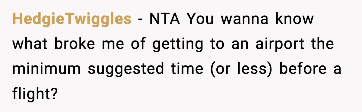 HedgieTwiggles − NTA You wanna know what broke me of getting to an airport the minimum suggested time (or less) before a flight?