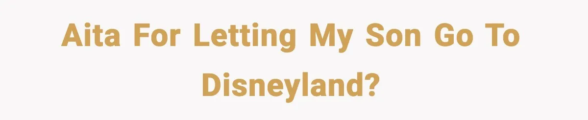 AITA for letting my son go to Disneyland?
