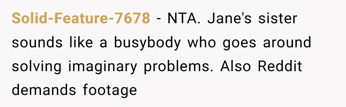 Solid-Feature-7678 - NTA. Jane's sister sounds like a busybody who goes around solving imaginary problems. Also Reddit demands footage