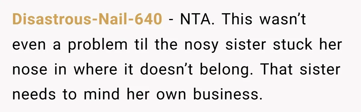 Disastrous-Nail-640 - NTA. This wasn’t even a problem til the nosy sister stuck her nose in where it doesn’t belong. That sister needs to mind her own business.