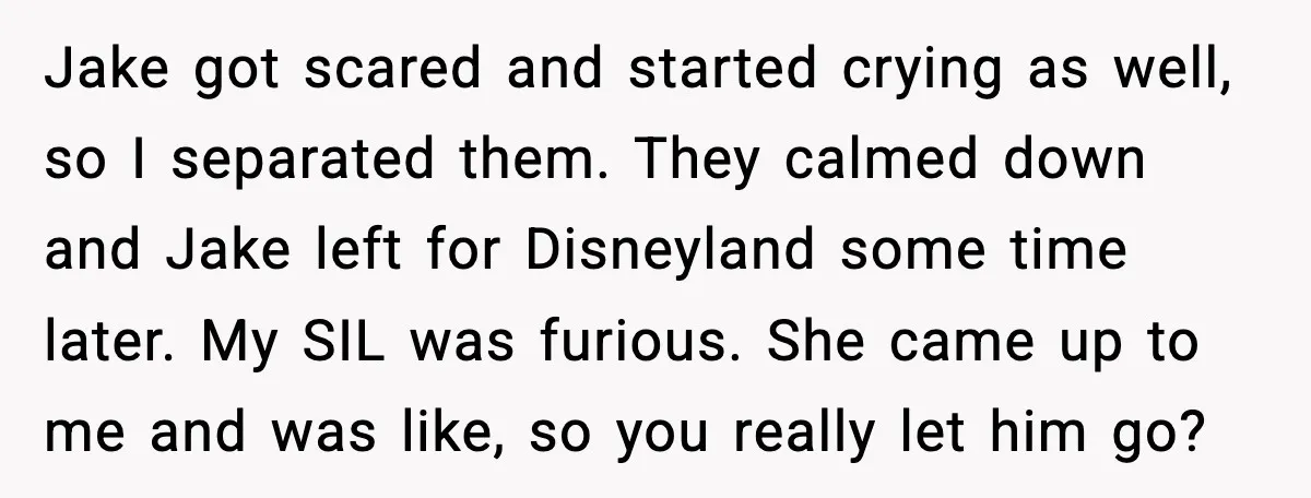 Jake got scared and started crying as well, so I separated them. They calmed down and Jake left for Disneyland some time later. My SIL was furious. She came up...