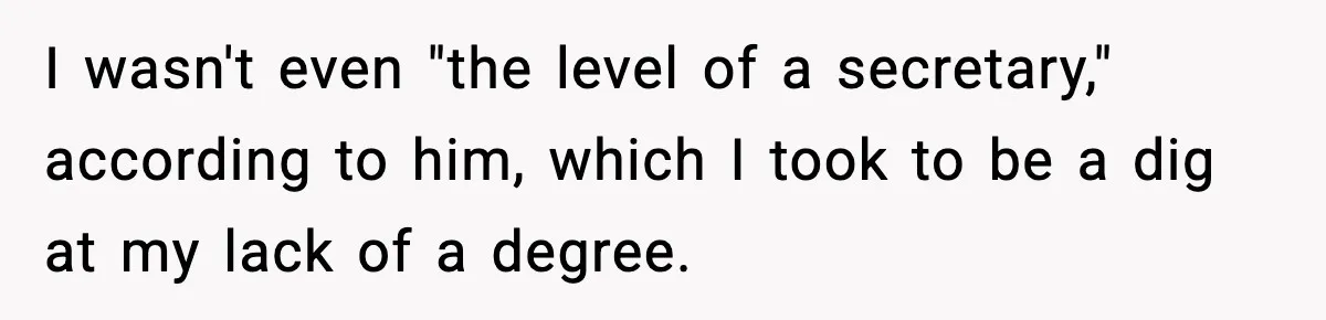 I wasn't even "the level of a secretary," according to him, which I took to be a dig at my lack of a degree.