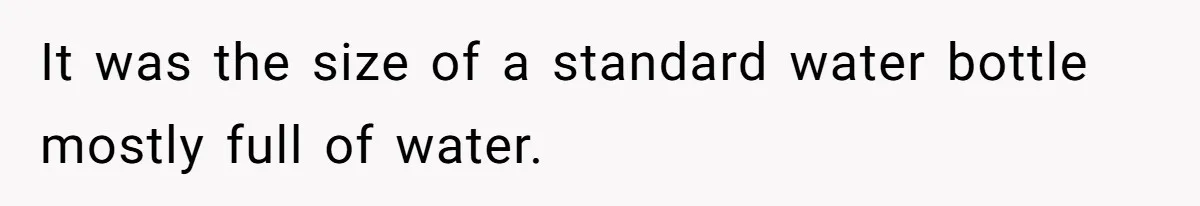 Airport Guard Tries To “Confiscate” Woman’s Empty Bottle For Himself, She Outsmarts Him And Leaves Him Fuming It was the size of a standard water bottle mostly full of water.