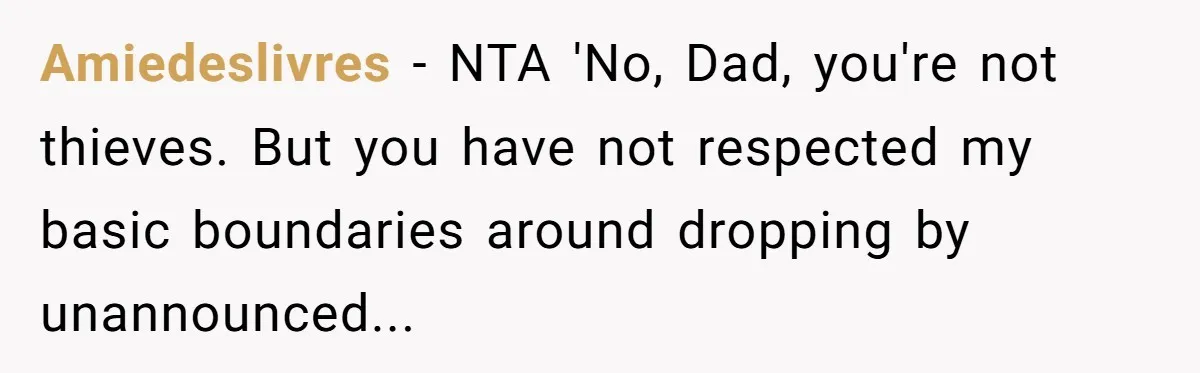 Amiedeslivres - NTA 'No, Dad, you're not thieves. But you have not respected my basic boundaries around dropping by unannounced...