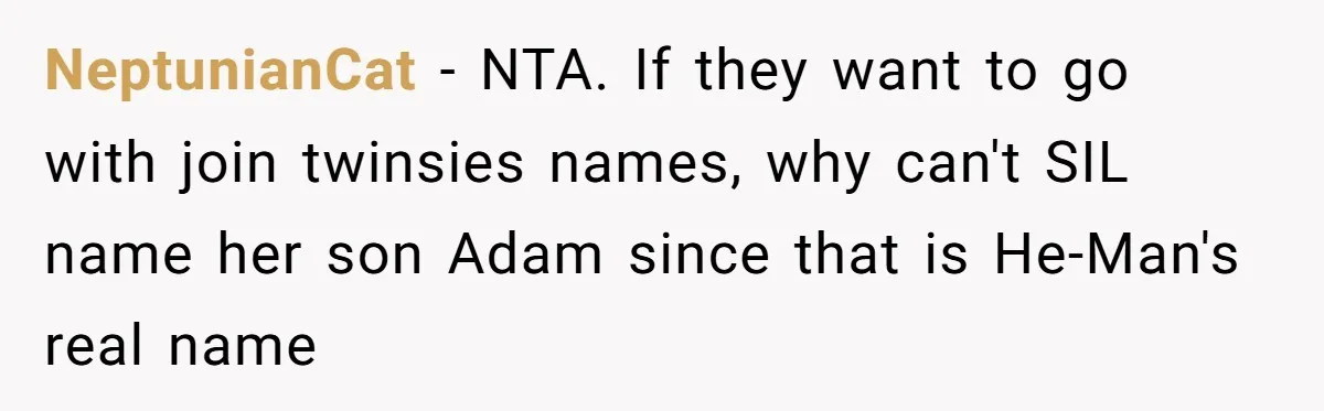NeptunianCat - NTA. If they want to go with join twinsies names, why can't SIL name her son Adam since that is He-Man's real name