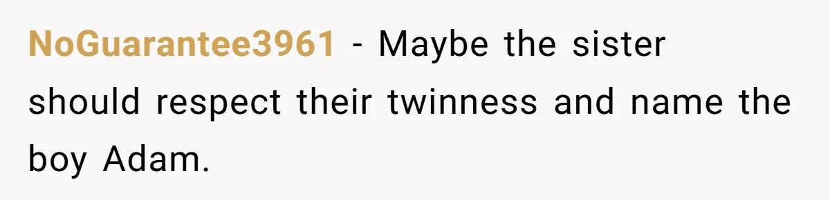 NoGuarantee3961 - Maybe the sister should respect their twinness and name the boy Adam.
