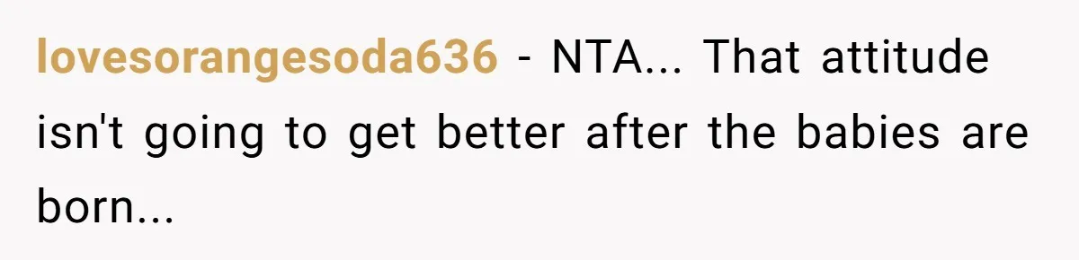 lovesorangesoda636 - NTA... That attitude isn't going to get better after the babies are born...