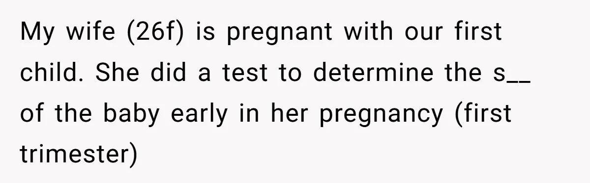 My wife (26f) is pregnant with our first child. She did a test to determine the s__ of the baby early in her pregnancy (first trimester)