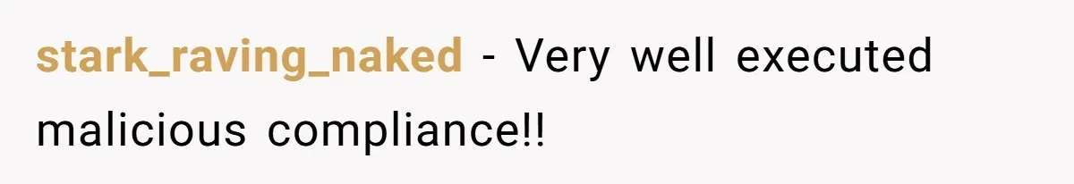 stark_raving_naked − Very well executed malicious compliance!!