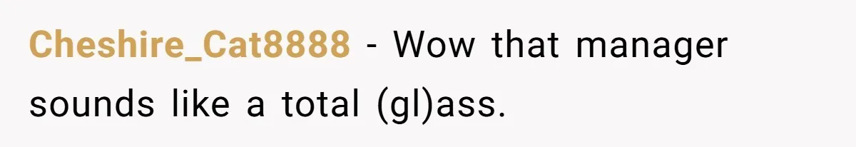 Cheshire_Cat8888 − Wow that manager sounds like a total (gl)ass.