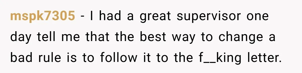 mspk7305 − I had a great supervisor one day tell me that the best way to change a bad rule is to follow it to the f__king letter.