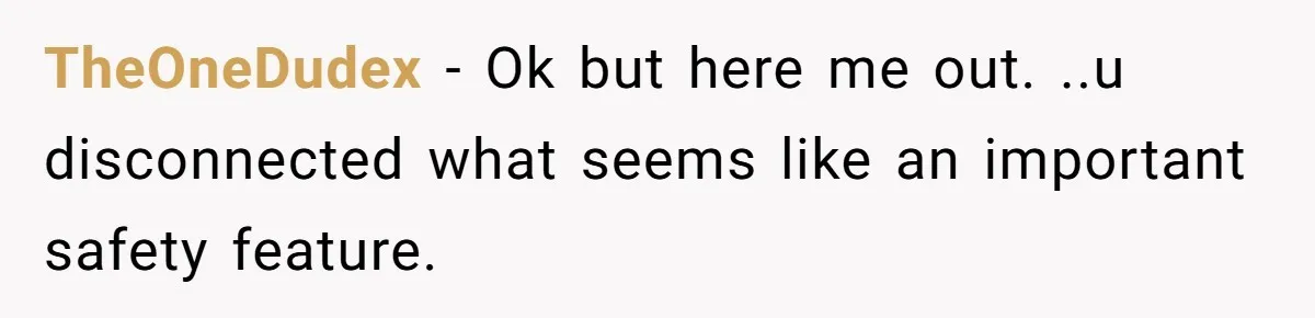TheOneDudex − Ok but here me out. ..u disconnected what seems like an important safety feature.