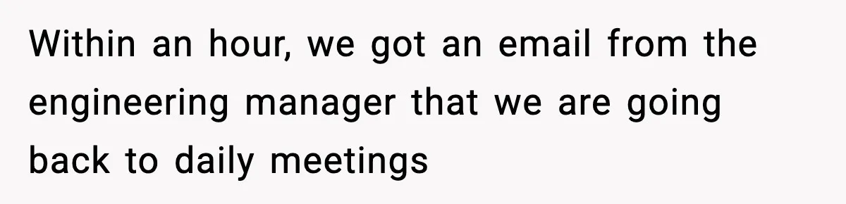 Within an hour, we got an email from the engineering manager that we are going back to daily meetings