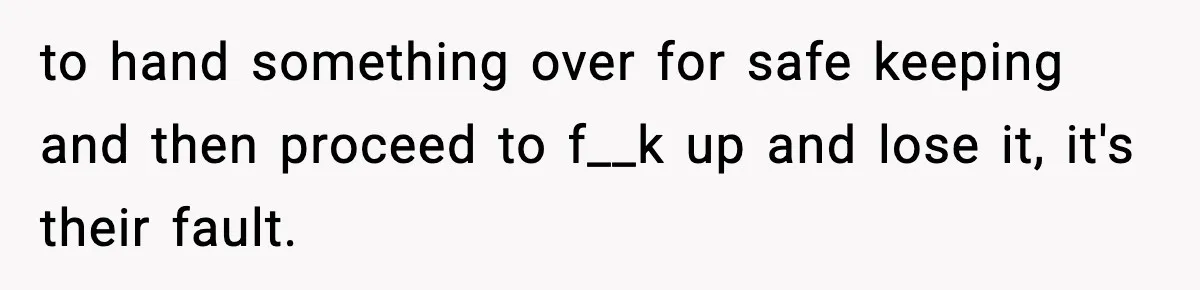 to hand something over for safe keeping and then proceed to f__k up and lose it, it's their fault.