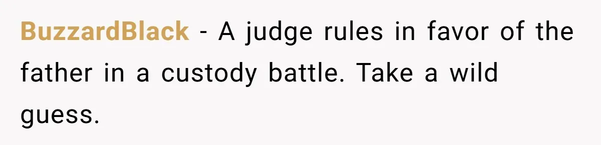 BuzzardBlack − A judge rules in favor of the father in a custody battle. Take a wild guess.