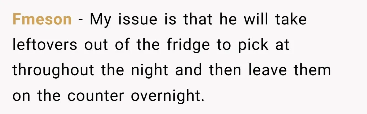 Fmeson − My issue is that he will take leftovers out of the fridge to pick at throughout the night and then leave them on the counter overnight.