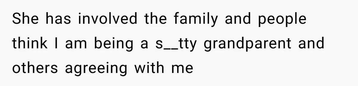 She has involved the family and people think I am being a s__tty grandparent and others agreeing with me