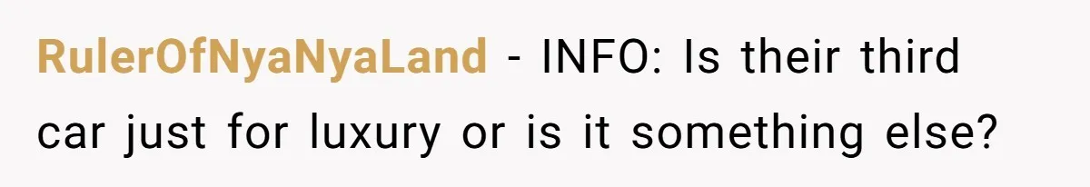 RulerOfNyaNyaLand − INFO: Is their third car just for luxury or is it something else?