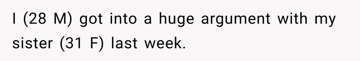 I (28 M) got into a huge argument with my sister (31 F) last week.