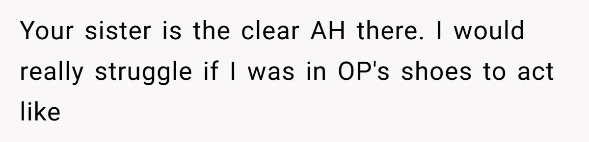 Your sister is the clear AH there. I would really struggle if I was in OP's shoes to act like
