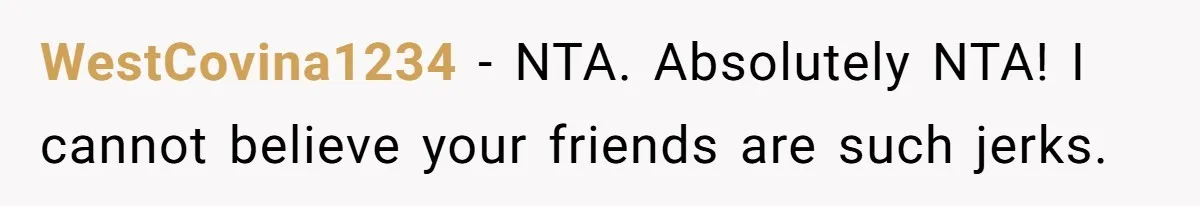 WestCovina1234 − NTA. Absolutely NTA! I cannot believe your friends are such jerks.