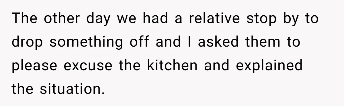 The other day we had a relative stop by to drop something off and I asked them to please excuse the kitchen and explained the situation.
