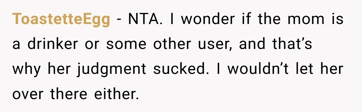 ToastetteEgg − NTA. I wonder if the mom is a drinker or some other user, and that’s why her judgment sucked. I wouldn’t let her over there either.