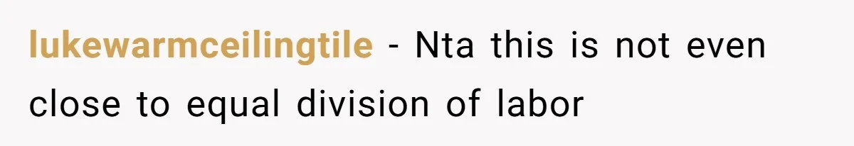 lukewarmceilingtile − Nta this is not even close to equal division of labor